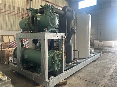 30t mașină de gheață din oțel inoxidabil de 30t